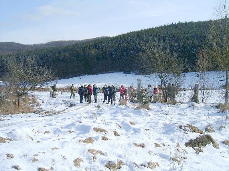 20110122 078.jpg